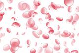 Red Blood Cells Flowing