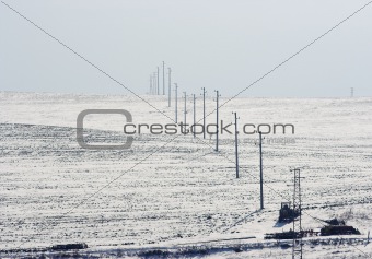 winter field
