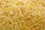 Bean Sprouts Background