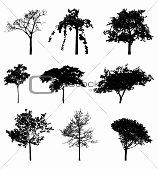 treeslibrary 1_1