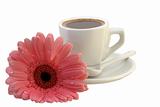 cup of coffee with a gerbera