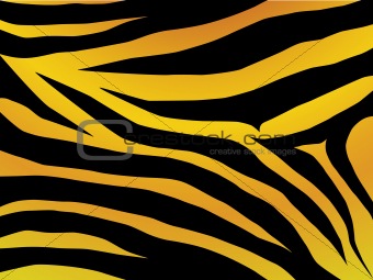 Tiger Fur Design