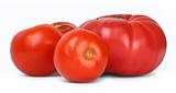 group of tomatos 