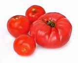 group of tomatos 