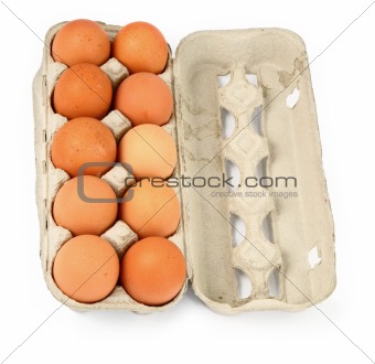 ten eggs in a box #3