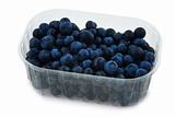 box of blueberries 