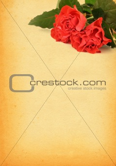 paper with rose motive