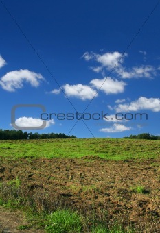 ploughed  pasture