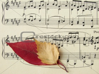 autumnal melody
