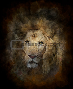 Watercolor Image Of Lion