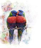 Watercolor Image Of  Parrots