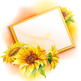 Sunflower frame background
