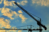 Construction cranes against of the sun