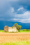 field with a ruin of house and tree, Plateau de Valensole, Prove