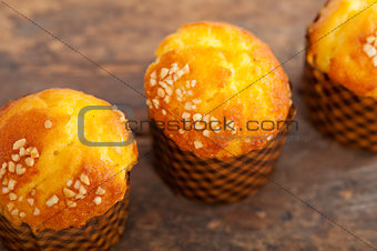 fresh baked muffin 