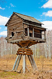 wooden house on poles in the field