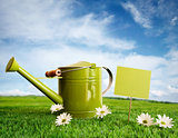 Watering can with daisies