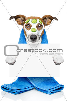 dog with a beauty mask