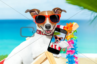 summer selfie dog 