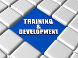 training and development in boxes