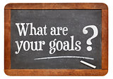 what are your goals question