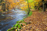 Metuje river in autumn, Czech Republic