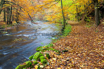 Metuje river in autumn, Czech Republic