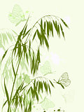 Green oat and butterflies