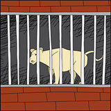 Lion in Cage