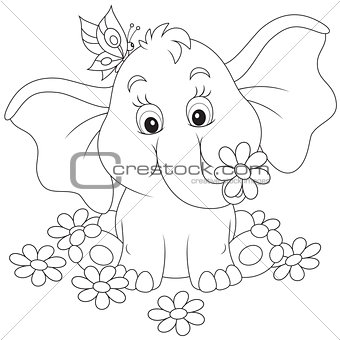 Little elephant with flowers