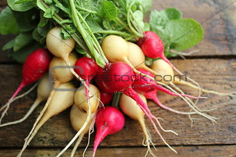 Fresh red and yellow radishes on wooden background