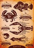 vector diagram cut carcasses seafood