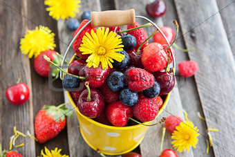 Fresh summer berries in a bucket