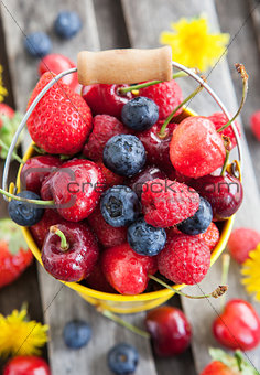 Fresh summer berries in a bucket