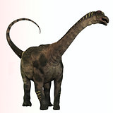 Antarctosaurus Profile