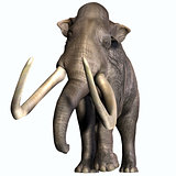 Columbian Mammoth Front Profile