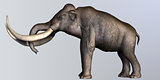 Columbian Mammoth Side Profile