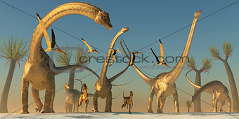 Diplodocus Dinosaur Journey