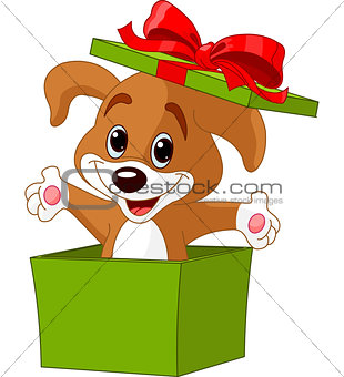 Puppy jumping out from a  box