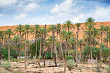 Oasis Al Haway Oman
