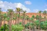 Oasis Al Haway Oman