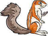 xerus animal cartoon illustration