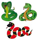 Various collection snake