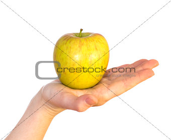 yellow apple on female palm