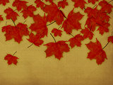 Paper with red leaves
