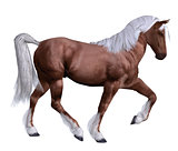 Red horse with white mane