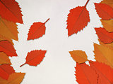 Red leaves frame