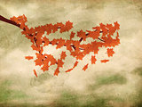 Red maple leaves on grunge background