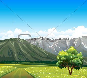 Field and tree. Nature landscape.
