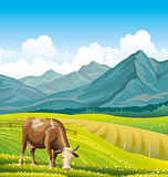 Cow and green meadow.